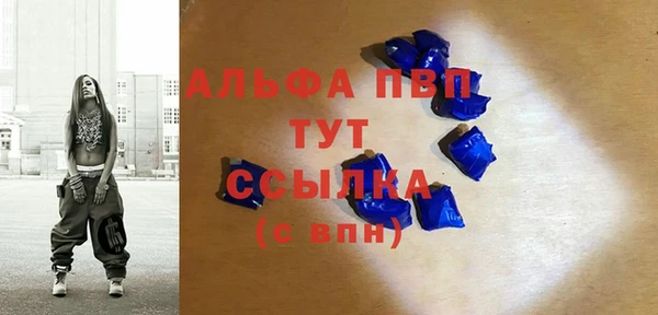 Альфа ПВП Инта