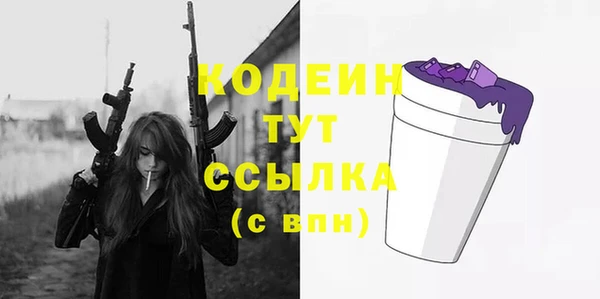 ECSTASY Инсар