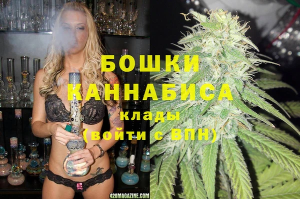 ECSTASY Инсар