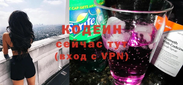 ECSTASY Инсар