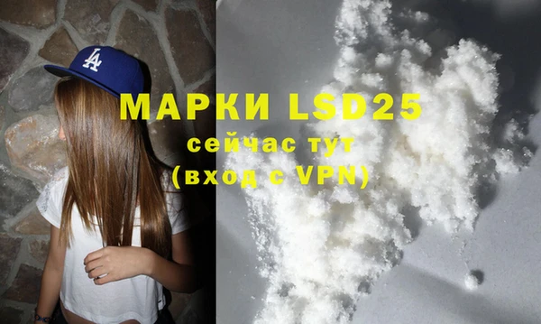 ECSTASY Инсар
