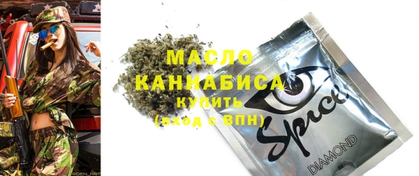 ECSTASY Инсар